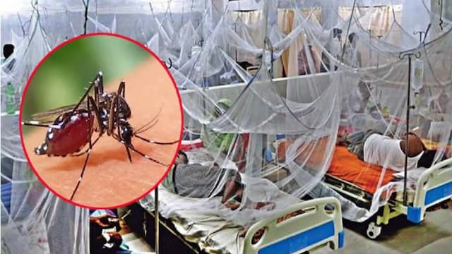 ডেঙ্গুতে আরও ৯ জনের মৃত্যু