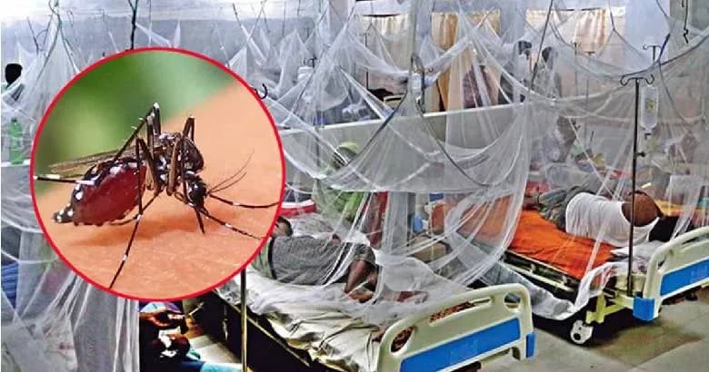 দেশে ডেঙ্গুতে আরও ৫ জনের মৃত্যু