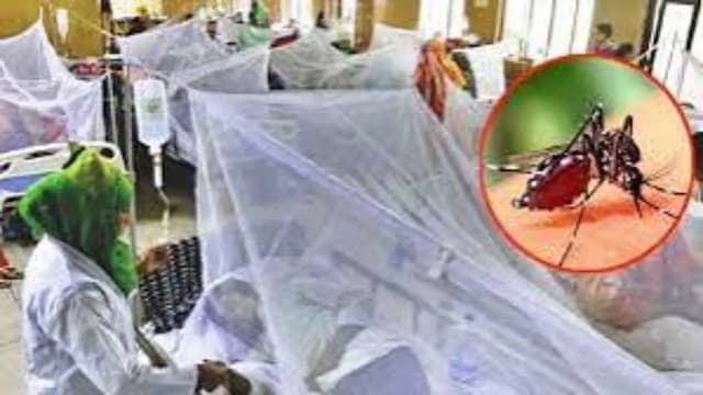 ডেঙ্গুতে আরও ৭ জনের মৃত্যু, হাসপাতালে ১৩৭৩