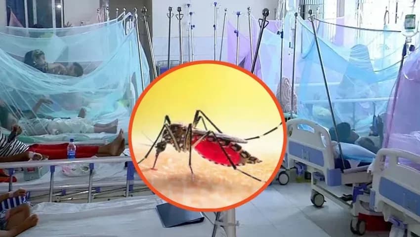 ডেঙ্গুতে আরও ছয়জনের মৃত্যু, হাসপাতালে ভর্তি ১৬৫৫